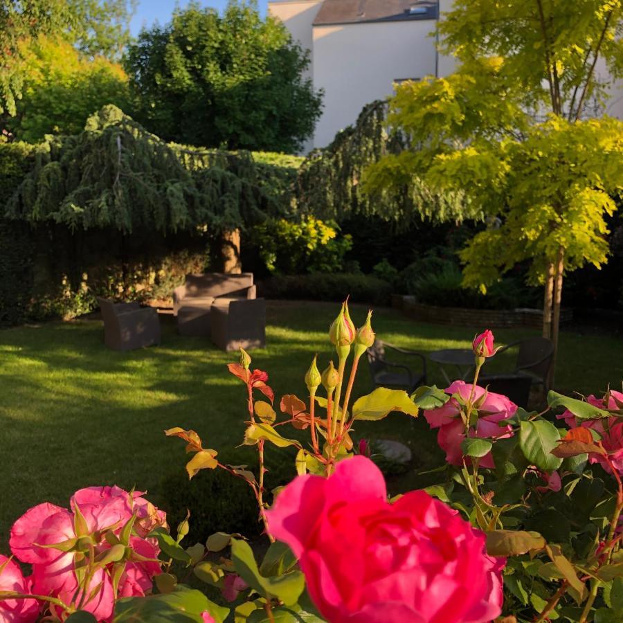 Hotel Des Cedres Orléans Exteriör bild